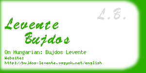 levente bujdos business card